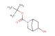 tert-butyl 5-hydroxy-2-aza-bicyclo[2.2.1]heptane-2-carboxylate