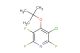 4-(tert-butoxy)-3-chloro-2,5,6-trifluoropyridine
