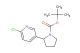 tert-butyl 2-(6-chloropyridin-3-yl)pyrrolidine-1-carboxylate