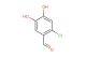 2-chloro-4,5-dihydroxybenzaldehyde