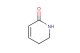 5,6-dihydropyridin-2(1H)-one