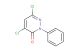 4,6-dichloro-2-phenylpyridazin-3(2H)-one