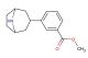 3-(8-azabicyclo[3.2.1]oct-3-yl)-benzoic acid methyl ester