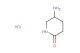 5-amino-piperidin-2-one hydrochloride