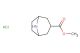 8-azabicyclo[3.2.1]octane-3-carboxylic acid methyl ester hydrochloride