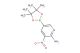 3-nitro-5-(4,4,5,5-tetramethyl-1,3,2-dioxaborolan-2-yl)pyridin-2-amine