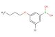 (3-bromo-5-butoxyphenyl)boronic acid