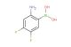 (2-amino-4,5-difluorophenyl)boronic acid