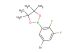2-(5-bromo-2,3-difluorophenyl)-4,4,5,5-tetramethyl-1,3,2-dioxaborolane