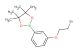 2-(3-(2-bromoethoxy)phenyl)-4,4,5,5-tetramethyl-1,3,2-dioxaborolane