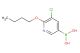 (6-butoxy-5-chloropyridin-3-yl)boronic acid