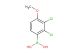 (2,3-dichloro-4-methoxyphenyl)boronic acid
