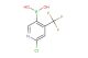 (6-chloro-4-(trifluoromethyl)pyridin-3-yl)boronic acid