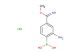 (2-amino-4-(imino(methoxy)methyl)phenyl)boronic acid hydrochloride