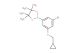 2-(3-bromo-5-(cyclopropylmethoxy)phenyl)-4,4,5,5-tetramethyl-1,3,2-dioxaborolane