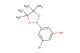 3-bromo-5-(4,4,5,5-tetramethyl-1,3,2-dioxaborolan-2-yl)phenol