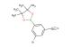 3-bromo-5-(4,4,5,5-tetramethyl-1,3,2-dioxaborolan-2-yl)benzonitrile