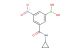 (3-(cyclopropylcarbamoyl)-5-nitrophenyl)boronic acid