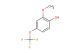 2-methoxy-4-(trifluoromethoxy)phenol