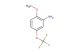 2-methoxy-5-(trifluoromethoxy)aniline
