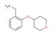 [2-(oxan-4-yloxy)phenyl]methanamine