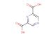 pyrazine-2,6-dicarboxylic acid