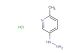 (6-methylpyridin-3-yl)hydrazine hydrochloride
