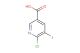 6-chloro-5-iodonicotinic acid