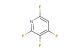 2,3,4,6-tetrafluoropyridine