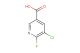 5-chloro-6-fluoronicotinic acid