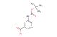 5-((tert-butoxycarbonyl)amino)nicotinic acid