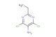 4,6-dichloro-2-ethyl-pyrimidin-5-ylamine