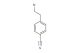 4-(2-bromoethyl)benzonitrile