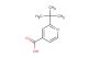 2-(tert-butyl)isonicotinic acid