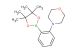 4-(2-(4,4,5,5-tetramethyl-1,3,2-dioxaborolan-2-yl)phenyl)morpholine