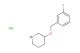 3-[(3-fluorobenzyl)oxy]piperidine hydrochloride