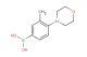 3-methyl-4-morpholinophenylboronic acid