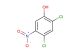 2,4-dichloro-5-nitrophenol