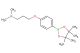 N,N-dimethyl-3-(4-(4,4,5,5-tetramethyl-1,3,2-dioxaborolan-2-yl)phenoxy)propan-1-amine