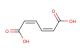 cis,cis-muconic acid