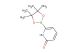 6-(4,4,5,5-tetramethyl-1,3,2-dioxaborolan-2-yl)pyridin-2(1H)-one