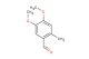 4,5-dimethoxy-2-methylbenzaldehyde