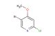 5-bromo-2-chloro-4-methoxypyridine