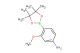3-methoxy-4-(4,4,5,5-tetramethyl-1,3,2-dioxaborolan-2-yl)benzenamine