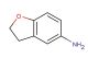 2,3-dihydrobenzofuran-5-amine