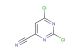 2,6-dichloropyrimidine-4-carbonitrile