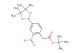 tert-butyl 2-(2-nitro-4-(4,4,5,5-tetramethyl-1,3,2-dioxaborolan-2-yl)phenyl)acetate