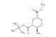 trans 1-tert-butyl 3-methyl 6-methylpiperidine-1,3-dicarboxylate