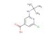 2-(tert-butylamino)-6-chloroisonicotinic acid