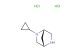 (1S,4S)-2-cyclopropyl-2,5-diazabicyclo[2.2.1]heptane dihydrochloride